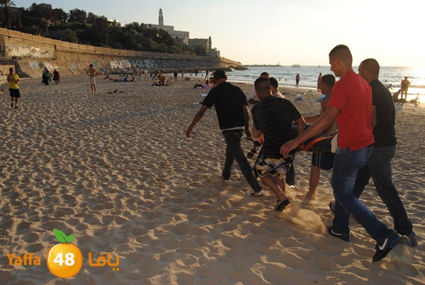 fallen from above 811 (11).JPG